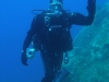 francesco02.jpg