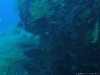 marcosub 061.jpg