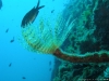 marcosub 090.jpg