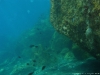 marco sub 031.jpg