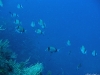 marco sub 028.jpg