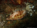 marco sub 088.jpg