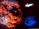 Palinuro Grotta Azzurra.jpg